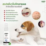 30ml. Nano Silver Spray สเปรย์นาโนรักษาเชื้อรา  แผลติดเชื้อ แผลจากการผ่าตัด และอักเสบ รักษาโรคผิวหนัง สำหรับสุนัข/แมว