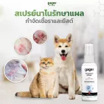 100ml. Nano Silver Spray สเปรย์นาโนรักษาเชื้อรา  แผลติดเชื้อ แผลจากการผ่าตัด และอักเสบ รักษาโรคผิวหนัง สำหรับสุนัข/แมว