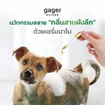 Gager เซรัมนาโนซิลเวอร์ ดับกลิ่นสาบแมว/หมา ป้องกันเห็บหมัด ยุง แมลง ไรแบคทีเรีย ทำให้ไม่ต้องอาบน้ำบ่อย 100 ml. ส่งฟรี!