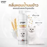 Gager แชมพูอาบน้ำแมว สูตรบำรุงขน ขนนิ่ม หอมมาก สกัดจากน้ำนมข้าวออแกนิก อ่อนโยน เกรดพรีเมี่ยม แชมพูแมว Cat Shampoo 250ml.