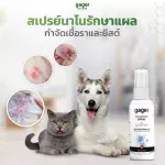 30ml. Nano Silver Spray สเปรย์นาโนรักษาเชื้อรา  แผลติดเชื้อ แผลจากการผ่าตัด และอักเสบ รักษาโรคผิวหนัง สำหรับสุนัข/แมว