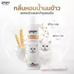 Gager100ml. Cat shower shampoo Very soft, fragrant hair nourishing formula extracted from premium grade rice milk. Dog Shampoo