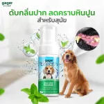 Gager แพ็คคู่ โฟมดับกลิ่นปาก+โลชั่นเช็ดหู น้ำยาเช็ดหูแมว/หมา สำหรับสุนัขและแมว ออแกนิค สกัดจากธรรมชาติ ขนาด 50ml.