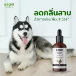 Gager เซ็ตแชมพู2ขวด+เซรั่มนาโนซิลเวอร์30ml. แชมพูหมา/สุนัข สูตรDetoxและสูตรบำรุงขนสวย ขนนิ่ม หอม ช่วยลดกลิ่นสาบ ส่งฟรี!
