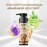 Gager เซ็ตสุดคุ้ม 5 ชิ้น แชมพูสูตรโอ๊ตมีล+สูตรบำรุงขนนิ่ม+เซรัม30ml.+โลชั่นเช็ดหู+โฟมดับกลิ่นปาก แชมพูสุนัข ส่งฟรี!!
