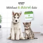 Gager น้ำยาเช็ดหูแมว/หมา โลชั่นทำความสะอาดหู สำหรับแมว ช่วยลดกลิ่น ป้องกันไรหู 1ขวด 50ml.