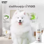 Gager 2ขวด แชมพูสุนัข/หมา สูตรโอ๊ตมีล+บำรุงขน กลิ่นหอมน้ำนมข้าว ลดขนร่วง ช่วยบรรเทาอาการคัน อ่อนโยน 250ml. ส่งฟรี!