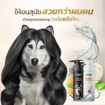 Gager Detox Double Pack+Soft hair nourishing Dog shampoo/dog reduces fur, gentle, very fragrant, premium grade 250ml. 2 bottles