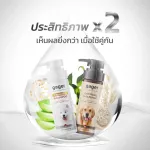 Gager 2ขวด แชมพูสุนัข/หมา สูตรโอ๊ตมีล+บำรุงขน กลิ่นหอมน้ำนมข้าว ลดขนร่วง ช่วยบรรเทาอาการคัน อ่อนโยน 250ml. ส่งฟรี!