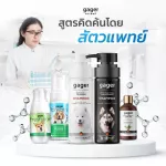 Gager เซ็ตสุดคุ้ม พร้อมปืนฉีดน้ำ แชมพูสุนัขสูตรDetox+บำรุงขนนิ่ม+เซรัม30ml+โลชั่นเช็ดหู+โฟมดับกลิ่นปาก+ปืนฉีดน้ำ ส่งฟรี