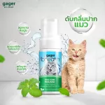 Gager เซ็ตสุดคุ้ม 5 ชิ้น แชมพูสูตรDetox+สูตรบำรุงขนนิ่ม+เซรัม30ml.+โลชั่นเช็ดหู+โฟมดับกลิ่นปาก แชมพูแมว ส่งฟรี!!