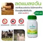 Concentrated microbes, get rid of worms Reduce the smell of animal dung efficiently Free delivery Microbell Farm 250 ml.