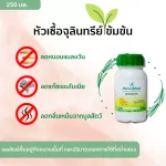 หัวเชื้อจุลินทรีย์เข้มข้น กำจัดหนอน เเมลงวัน กำจัดกลิ่นเหม็น ลดกลิ่นมูลสัตว์ได้อย่างมีประสิทธิภาพ ส่งฟรีเก็บเงินปลายทาง ไมโครเบลสฟาร์ม 250 มล.