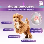 ซื้อ 1 แถม 1 หอยแมลงภู่ MOBILITY 25 กรัม ฟื้นฟูข้อต่อ ข้อต่อสะโพก ขาอ่อนแรง สุนัข แมว BETAPET