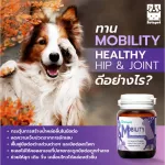 ซื้อ 1 แถม 1 หอยแมลงภู่ MOBILITY 25 กรัม ฟื้นฟูข้อต่อ ข้อต่อสะโพก ขาอ่อนแรง สุนัข แมว BETAPET