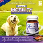 ซื้อ 1 แถม 1 หอยแมลงภู่ MOBILITY 25 กรัม ฟื้นฟูข้อต่อ ข้อต่อสะโพก ขาอ่อนแรง สุนัข แมว BETAPET
