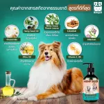 ซื้อ 1 แถม 1 แชมพูน้ำมันกัญ 250ml + แปรงอาบน้ำซิลิโคน HAMP SEED OIL สุนัข แมว สูตรอ่อนโยน ลดขนร่วง แก้อักเสบ ขี้เรื้อน