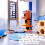 พร้อมส่ง MERRY PET CAT​ CONDO​ ICE​CREAM คอนโดแมว คอนโดไอศกรีม​ ที่นอนขนาดใหญ่ ออกแบบดีไซน์สวยงาม สำหรับ​สัตว์​เลี้ยง​