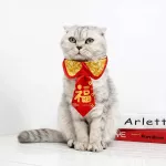 Chinese New Year's NECTEN For the younger dog