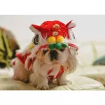 Chinese New Year For the dog