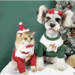 Rudolf Sweater Dog Shirt