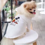 T -shirt for the dog