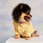Scotty Pajamas Dog Shirt