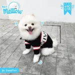 Sweather Ngiven Dog Shirt