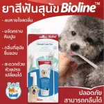 พร้อมส่ง ยาสีฟันสุนัข ? ลดคราบหินปูน และปัญหากลิ่นปาก แปรงง่าย รสชาติที่สุนัขชอบ