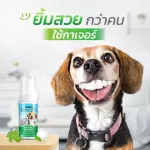 Gager, bad breath, dogs and cats, reducing plaque, bacteria and limestone in the mouth, can be eaten from herbs 50ml.