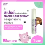 Nano Spray สเปรย์ นาโน แคร์ 20 ml Care Essence Exp.5/2023 ฉีด พ่น ใส่แผล แผลสด ช่องปาก wound สุนัข แมว กระต่าย สัตว์ปีก