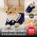 เสื้อผ้าแฟชั่น ชุดนักเรียนคอซอง สำหรับสัตว์เลี้ยงแสนรัก น้องแมว-น้องหมา 011