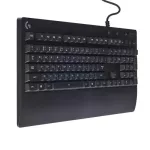 Logitech Keyboard Keyboard (G213) Produing
