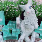 Doganic Herbal Spray 35 ml.สเปรย์ช่วยบำรุงดูแลผิวหนังและเส้นขน ลดอาการอักเสบคัน,ลดผื่นแดง,เพิ่มความชุ่มชื้น ปลอดภัยจากสารเคมีอันตราย,ไม่มีสารเคมี