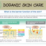 Doganic Premium Pet Cream 30g. เวชภัณฑ์ครีม บำรุงผิวหนังออร์แกนิค100% ช่วยบำรุงดูแลผิวหนังและเส้นขน,ลดการอักเสบคัน,ลดผื่นแดง,ปลอดภัยจากสารเคมีอันตราย