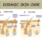 Doganic Premium Pet Cream 30g. เวชภัณฑ์ครีม บำรุงผิวหนังออร์แกนิค100% ช่วยบำรุงดูแลผิวหนังและเส้นขน,ลดการอักเสบคัน,ลดผื่นแดง,ปลอดภัยจากสารเคมีอันตราย