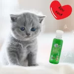 แชมพูแมว สูตรสมุนไพรทองพันชั่ง สำหรับแมวและลูกแมวทุกสายพันธุ์