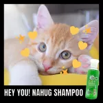 แชมพูแมว สูตรสมุนไพรทองพันชั่ง สำหรับแมวและลูกแมวทุกสายพันธุ์