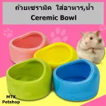 Ceramic crockery, food, water // for rats, hamsters, small pets