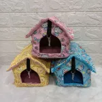 Baan sleeping at the house, Chukar Krai, Chuja, Squirrel, Chukar Krader