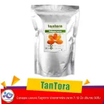 TanTora Catappa Leaves ใบหูกวาง ปลอดสารพิษ ขนาด 7-12 นิ้ว ปริมาณ 50ใบ