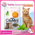 กัญชาแมว แคทนิป ของเล่นแมว Catnip ของใช้แมว อุปกรณ์แมว ผงแคทนิปแมว ราคาถูก ขนาด 5 กรัม