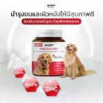 Vitamins for dogs, nourishing the skin and hair to be healthy from the inside to the outside. Skin Booster, 30 tablets