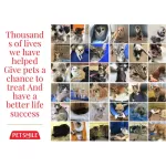 เพ็ทสไมล์ แชมพูน้ำมันมะพร้าว ผสมคอนดิชันเนอร์ ขนาด 280 ml x 1 ขวด PETSMILE PUPPY SHAMPOO AND CONDITIONER 280 ml x 1 bottle