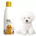 เพ็ทสไมล์ แชมพูข้าวสำหรับสุนัขวัยชรา ขนาด 280 ml x 1 ขวด PETSMILE SENIOR DOG SHAMPOO AND CONDITIONER 280 ml x 1 bottle