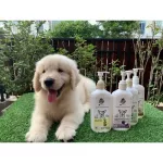 แชมพูสุนัข  บำรุงขน ขนมีน้ำหนัก ขนนุ่ม ขนเงางาม  สูตรมะพร้าว 2ขนา 250ml และ 1000ml