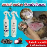 โฟมอาบแห้ง หมาแมว ลูบๆๆ ดับกลิ่น หอม สะอาดขนนุ่ม สะดวกไม่ต้องล้างออก