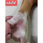 สเปรย์นาโน รักษาขี้เรื้อน เชื้อรา แบคทีเรีย 70ml