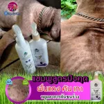 แชมพูสุนัข แก้คัน เกา ขนร่วง บำรุงขน สูตรมังคุด