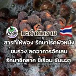 แชมพูสุนัข กลิ่นตัวแรง กลิ่นสาบหมา หยุดอาการคัน ขนร่วง สูตรสับปะรด